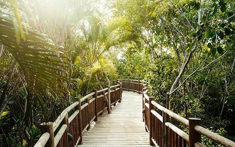 Grand Mayan, Riviera Maya Puerto Morelos Zewnętrze zdjęcie